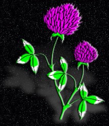 ClipArt by Masterclips Inc.
