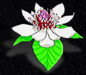 ClipArt by Corel Corp.