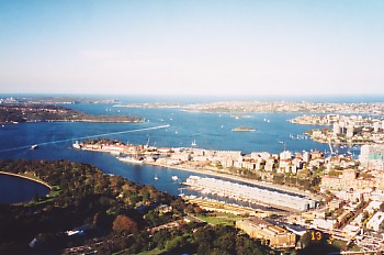 Cowper Bay Wharf from AMP Tower