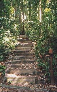 The Summit Path ... One of the Many Detours from the Main Path