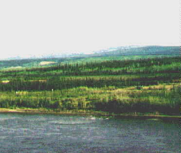 ac20.jpg (13314 bytes)