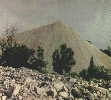 bm17.jpg (19527 bytes)