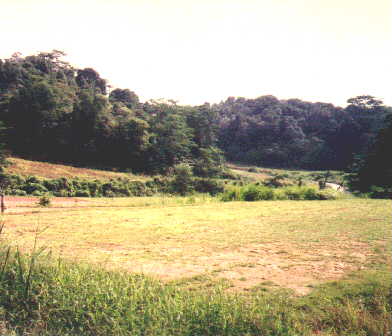 bm3.jpg (19948 bytes)