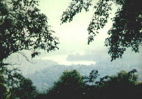 bt11.jpg (23848 bytes)