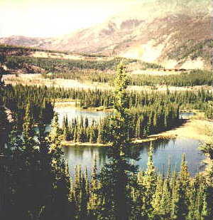 denali22.jpg (20893 bytes)