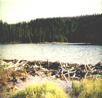 denali24.jpg (19165 bytes)