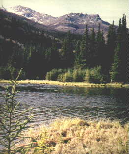 denali25.jpg (15376 bytes)