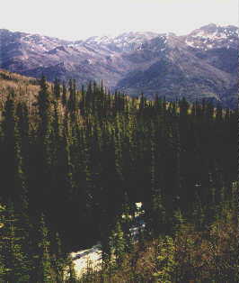 denali26.jpg (11800 bytes)