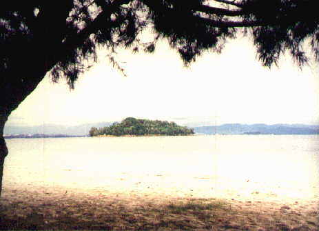 is8.jpg (18008 bytes)