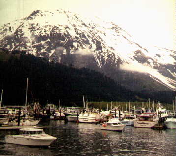 kenai12.jpg (20060 bytes)