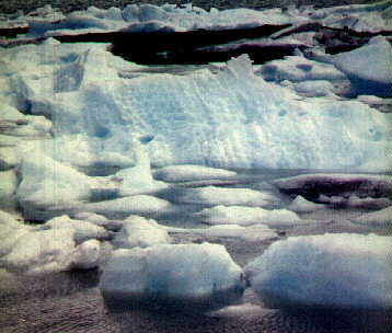kenai8.jpg (17759 bytes)