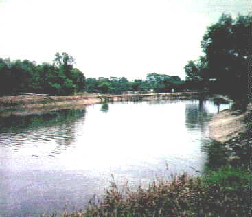 khatib2.jpg (13394 bytes)