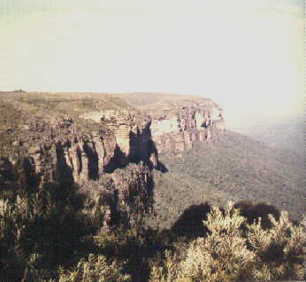 nsw11.jpg (15493 bytes)