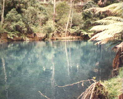 nsw15.jpg (23210 bytes)