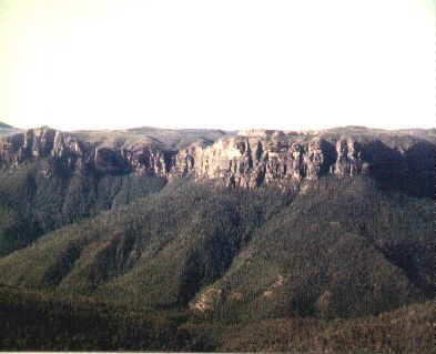 nsw7.jpg (12980 bytes)