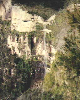 nsw8.jpg (17107 bytes)
