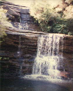 nsw9.jpg (14656 bytes)