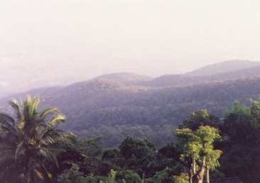 nthai3.jpg (24083 bytes)