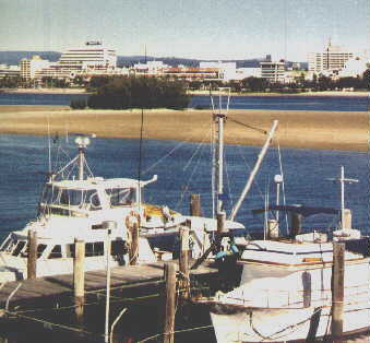 qland22.jpg (19630 bytes)