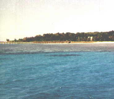 qland4.jpg (10747 bytes)