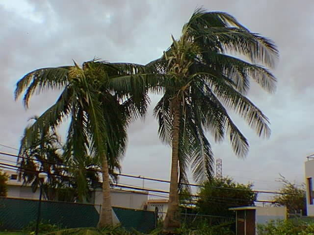 San Juan PR 00931