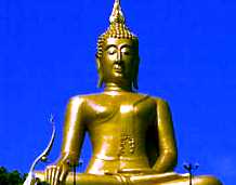 /user/pic-samui8.jpg