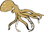 Octopus.gif (4886 bytes)