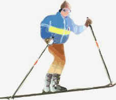 ski.jpg (7206 bytes)