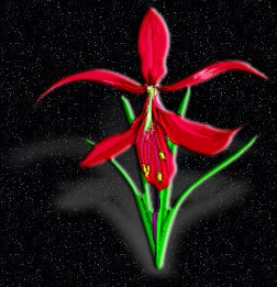 ClipArt by Corel Corp.