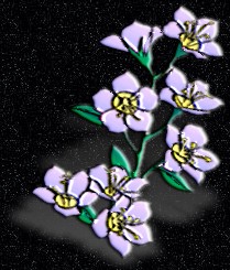 ClipArt by Corel Corp.