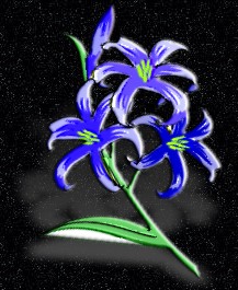 ClipArt by Corel Corp.