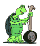turtlebass.gif (18242 bytes)