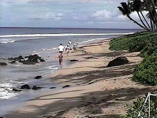 Beach at Hyatt Regency Maui