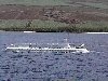 Atlantis Submarine