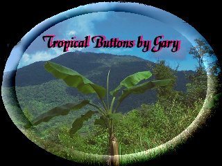 Tropical Button by Gary