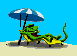 vacation lizzard