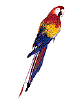 aniparotl.gif (4656 bytes)
