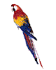 aniparotr.gif (4704 bytes)