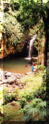 jumpingannandalefalls.jpg (95599 bytes)