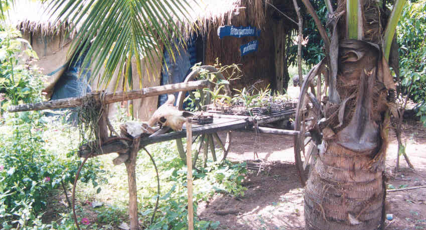 They were probably old friends...