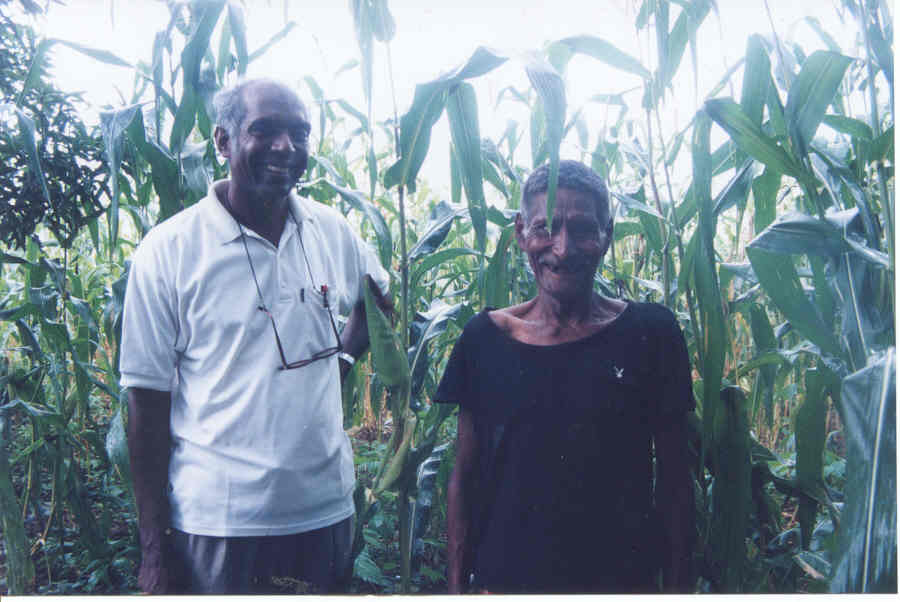 the man and his corn