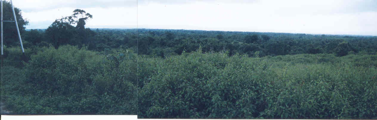 picture here fields of corn - its easy if you try