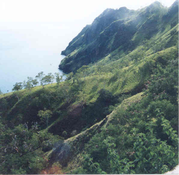 a view from the roadside