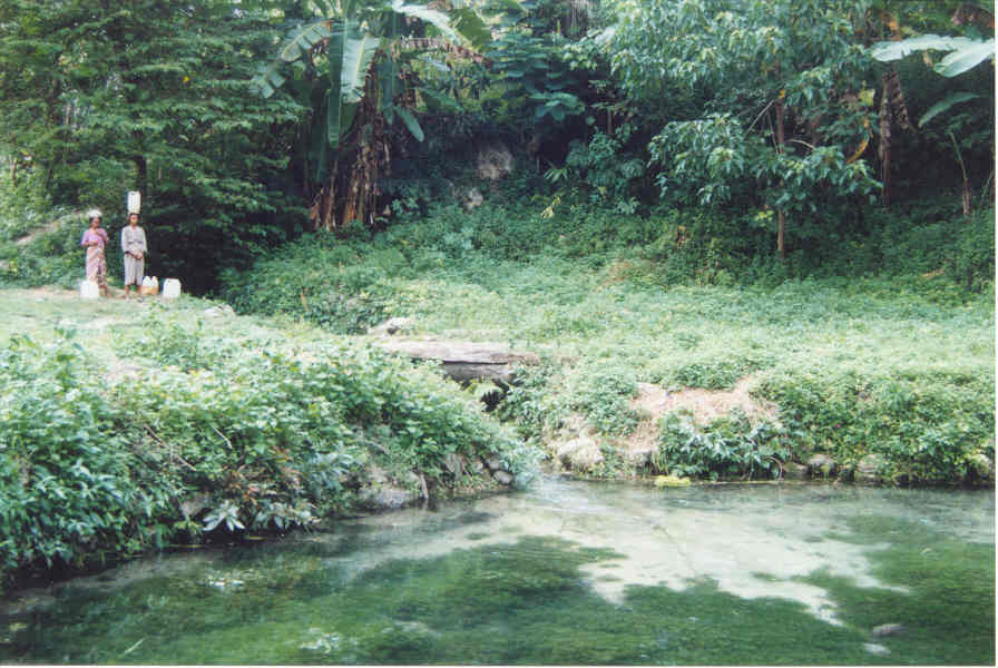 collecting water