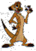 Timon
