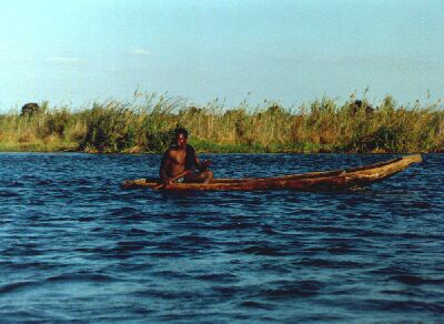 Mookori on the Zambezi