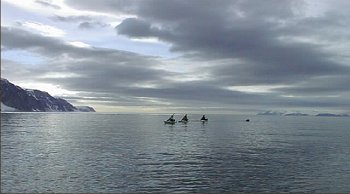 Hunters towing a narwhale.