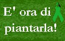 E' ora di piantarla!