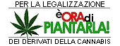 E' ora di piantarla!