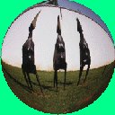 Three Electras